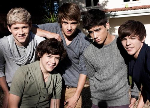 One Direction - One Direction is a British-Irish boy band consisting of members Niall Horan, Liam Payne, Harry Styles, Zayn Malik and Louis Tomlinson. I'm also a directioner. I love them especially Niall! He's so sweet! :D