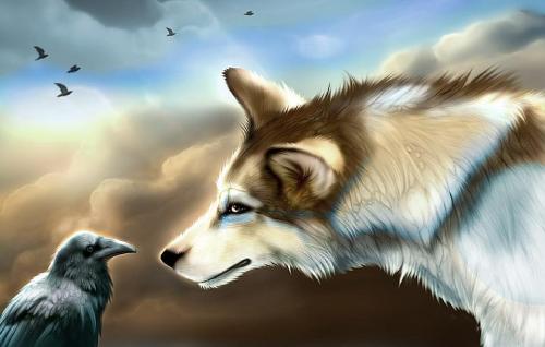 wild animal - the wolf and raven at peace