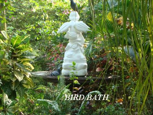 Bird bath for birds in our garden - Birds need fruits, greenery and water. They have it all in our garden.