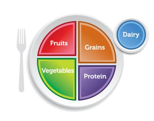 Healthy eating plate - A cute and silly way to know how much to eat!