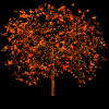 Autumn Tree - Tree, Autumn, Fall, fall colors