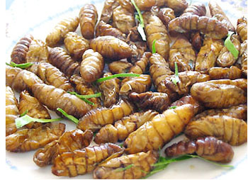 silkworm pupae - This is silkworm pupae dish