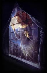 A ghost at the window - A ghost at the window