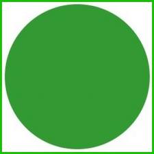 online status - when you see the green circle