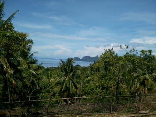 province - i took this picture at my father's place. it was great, we woke up with this site. wonderful huh? province - i took this picture at my father's place. it was great, we woke up with this site. wonderful huh?