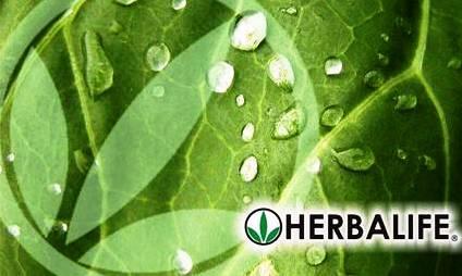 Herbalife - Herbalife business Herbalife - Herbalife business