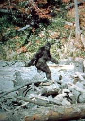 Bigfoot? - Bigfoot?