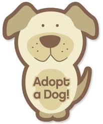 Adopt dog and train them. - Reduce mongrels in the streets.
