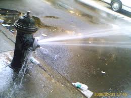 wasting water - I don't like to waste water. Its bad...