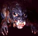 El Chupacabra - Scary and ugly, I found one. This pic is from online, not the one I found.