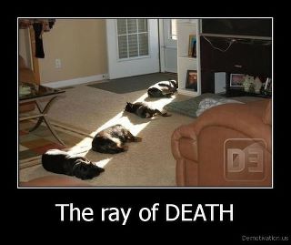 Funny! - when I first saw this I didn't get it! When I did I was laughing! It is funny!