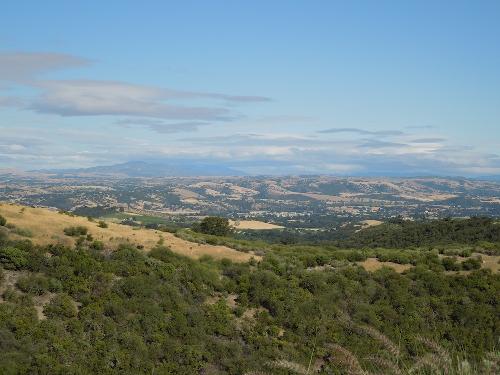 Overview of Calcareous Vineyard in Paso Robles - I was fortunate enough to sneak through the gate after hours because their gate timer was broken, so I was able to take lots of pictures in this beautiful place. Overview of Calcareous Vineyard in Paso Robles - I was fortunate enough to sneak through the gate after hours because their gate timer was broken, so I was able to take lots of pictures in this beautiful place.