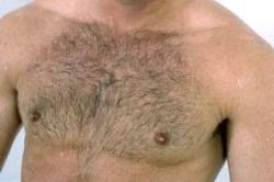 Hairy chest. - Hairy chest. Hairy chest. - Hairy chest.