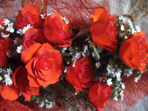 Flowers are the nicest way to express one's feelin - Flowers are the nicest way to express one's feelings. Their fragrance and color brings a sense of freshness and beauty in the life of our loved ones and as well as in our surroundings.