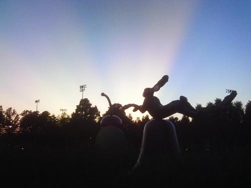 A jackalope in front of a cool night sky - This was as the sun had gone down. These big light streaks just streamed clear across the sky. Grandpa Bob posted a similar shot on FaceBook.