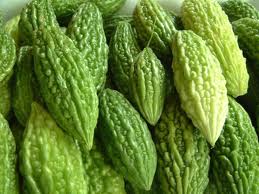 Ampalaya or Bitter Gourd - Ampalaya is bitter but very good for the health since its good for diabetic patients to lower their sugar level as well as its anti-cancer. Ampalaya or Bitter Gourd - Ampalaya is bitter but very good for the health since its good for diabetic patients to lower their sugar level as well as its anti-cancer.