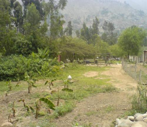 landscape - View of Chaclacayo, a town near of Lima.