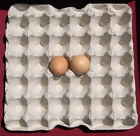 Eggs that sell in our local supermarkets are usual - Eggs that sell in our local supermarkets are usually packed in 30's