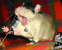 my mouse called Matt. - Howzaaaa!