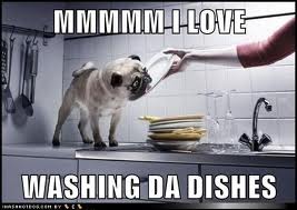 Dog washing the dishes - This is a dog helping to wash the dishes.