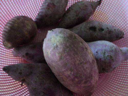 Sweet Potatoes - LOwly but healthy