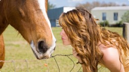 for discussion - a shampoo for horse and human