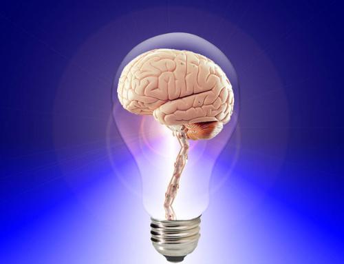 Brain inside light-bulb - human brain inside of a light-bulb