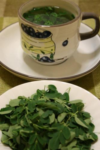 Fresh malunggay tea - Malunggay is very nutritious