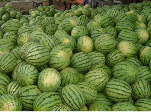Watermelon - One of the world's most nutritious.
