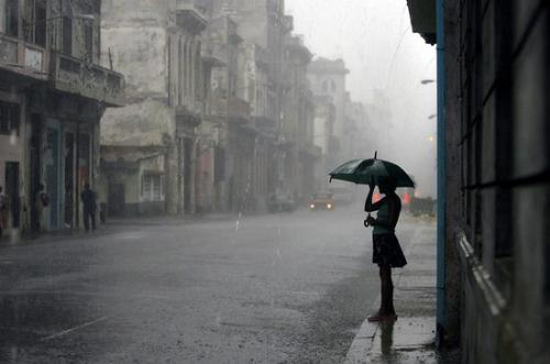 rain - drenched in rain rain - drenched in rain