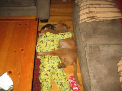 Dog and Boy Sleeping - A photo of a dog and a boy sleeping together and hugging together. Its so cute! Dog and Boy Sleeping - A photo of a dog and a boy sleeping together and hugging together. Its so cute!