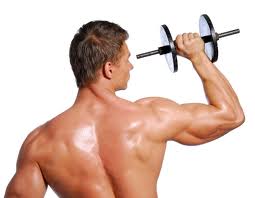 muscles - are muscles important for you? muscles - are muscles important for you?