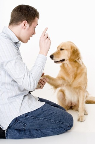 DOgs are your friend or....? - your real & lifelong friend can only be a dog. DOgs are your friend or....? - your real & lifelong friend can only be a dog.