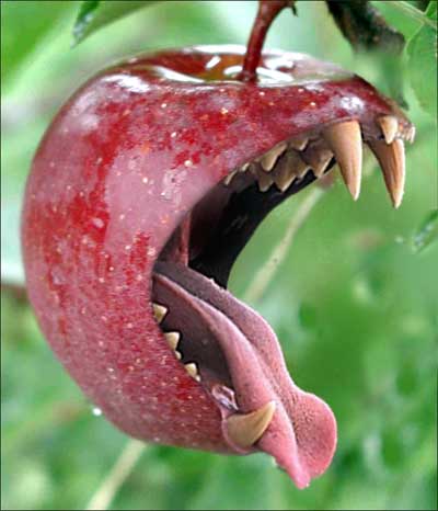 apple bite - was this the apple from the garden of Eden?
