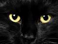 black cat eyes - http://www.google.com.ph/imgres?imgurl=http://1.bp.blogspot.com/-vT22d-amMrM/TtqRrN7jg5I/AAAAAAAABHw/AvVGqDyaKwA/s1600/cat-pictures-black-cat1.jpg&imgrefurl=http://swordanddaisy.blogspot.com/2012/01/mean-black-cat-blues.html&h=1200&w=1600&sz=262&tbnid=t-J2nMbrzkbI0M:&tbnh=88&tbnw=117&prev=/search%3Fq%3Dblack%2Bcat%2Bimages%26tbm%3Disch%26tbo%3Du&zoom=1&q=black+cat+images&usg=__MEqdnZ72jtkd56ytfWPdXYsejos=&docid=CIQjmkI3THAkWM&hl=en&sa=X&ei=9ggVULDzIPCKmQX6sIDgCA&sqi=2&ved=0CE0Q9QEwBQ&dur=630