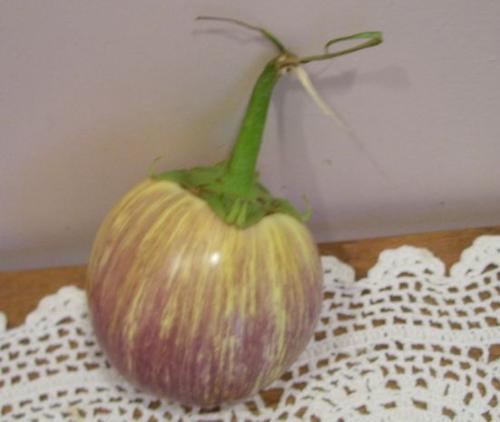 yellowing eggplant - a photo of my yellowing eggplant. Not sure why it turned this color?