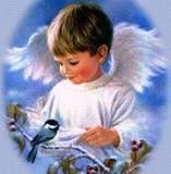 angel boy - http://media.photobucket.com/image/angel%20boy/HONNEYEATER/ANGELS/angel_boy_with_bird.jpg?o=48