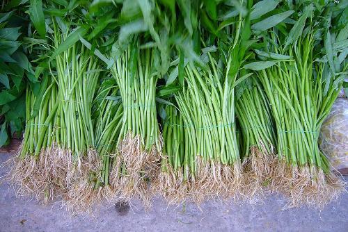 water spinach - water spinach this is what we call kangkong.. love it!