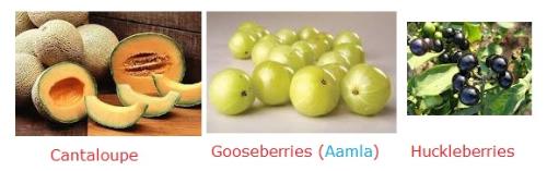 Fruits - Cantaloupe, Gooseberries and Huckleberries