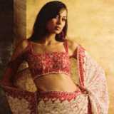 saree and a petticoat - saree and a petticoat