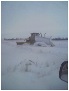 Burr - more winter in MT