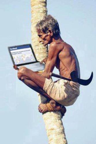 see this man with laptop - this man is using laptop on tree, probably given by politician