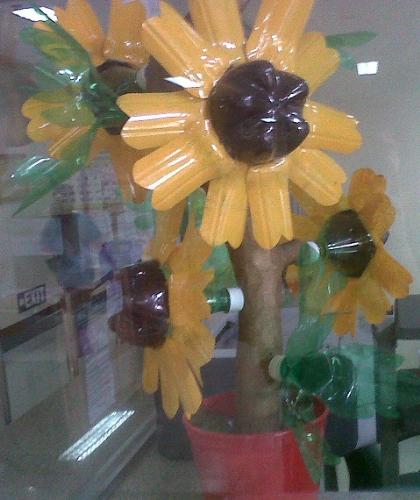 sunflower plastic - A recycled plastic bottle.