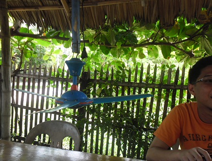 ceiling fan - This a new techniques to get rid of flying insects. ceiling fan - This a new techniques to get rid of flying insects.