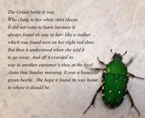 Green Beetle - a green beetle stuck on me haha