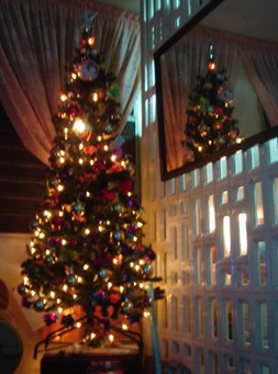 Christmas Tree - Our Christmas tree, 5 years ago