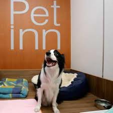 pet&#039;s hotel - an image of a pet&#039;s hotel