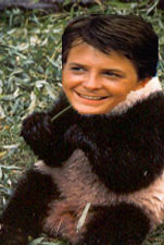 Michael J Panda - My sister made this for me