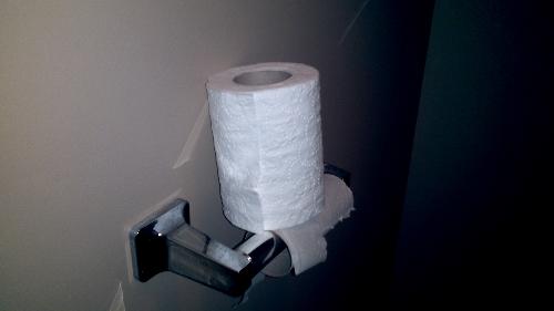 Toliet paper  - My husband's way of putting the new toilet paper roll on