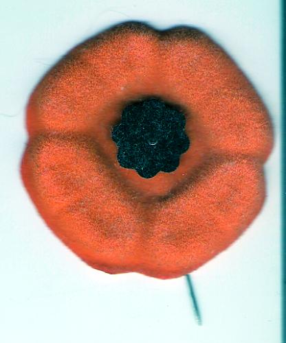 poppy - One of the poppies we wear for Remembrance Day.